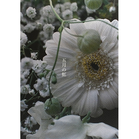 特装カバー付／サイン本】トナカイ「五月の虹」｜恵文社一乗寺店