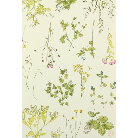 イイダ傘店 ポストカードA (押花)｜恵文社一乗寺店 オンラインショップ