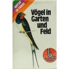 Vogel in Garten und Feld