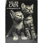 YLLA'S CATS 
