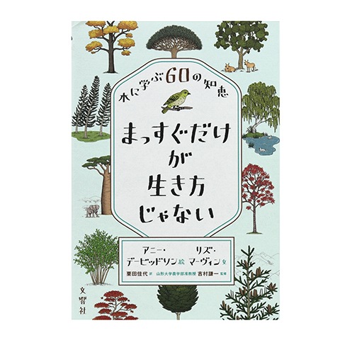まっすぐだけが生き方じゃない 木に学ぶ60の知恵｜恵文社一乗寺店