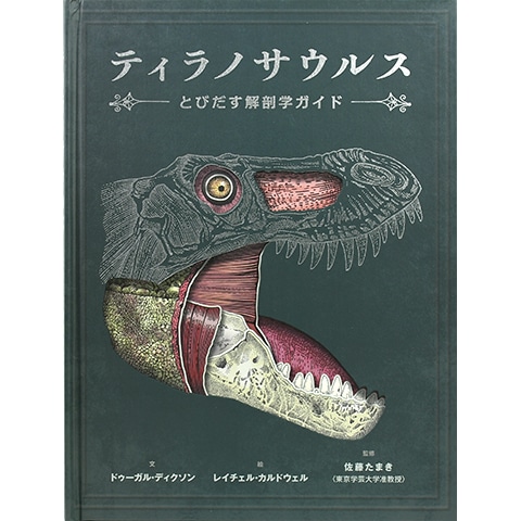 ティラノサウルス｜恵文社一乗寺店 オンラインショップ