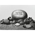 �Ϥޤ٤ˤϡ������������äѤ�