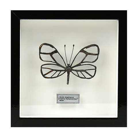 000000027579_zoYFjPI.jpg 000000027579_zoYFjPI.jpg