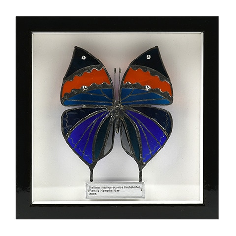 ご予約】西冨なつき ＃095 コノハチョウ｜恵文社一乗寺店 オンライン