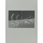 NOTWITHSTANDING by Hudson Hayden