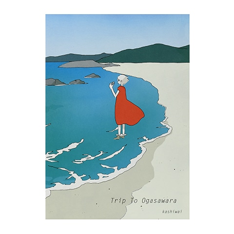 つきしま0730 カシワイ「Trip To Ogasawara」｜恵文社一乗寺店 オンラインショップ