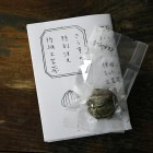 ���������٥˥塼 ������ �֥����͡�������