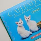 Precious Cat Memories Calendar 