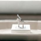 Anano ���ޤΥե�����