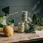 ������ ����Υϡ��֥���ȡ�2026 Lemon & Laurier��