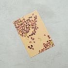 ��������Ź �ݥ��ȥ�����B�ʥ����ҡ�Ʀ��