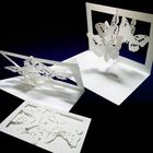 PAPER&ARTS ���ˤ��� �ݥåץ��åץ�å����������� [�Х��ե饤]