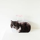 LOLIT CAT LOAF PAPER BAG