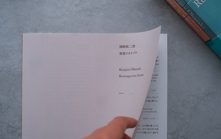 特典つき・サイン本】岡﨑乾二郎 視覚のカイソウ｜恵文社一乗寺店