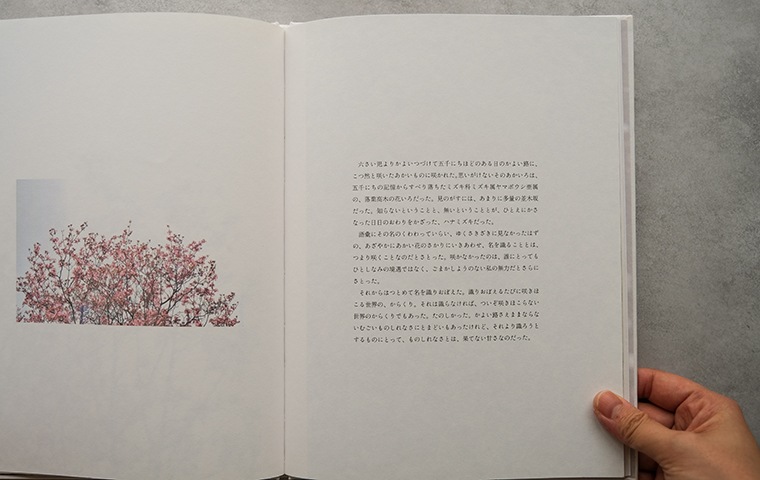 微花 1. / 春 第二版｜恵文社一乗寺店 オンラインショップ