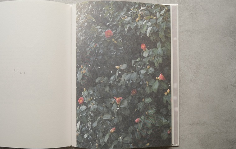 微花 1. / 春 第二版｜恵文社一乗寺店 オンラインショップ