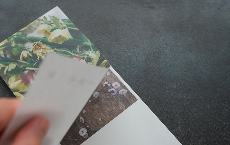 椿野恵里子 一筆箋「草木一葉」｜恵文社一乗寺店 オンラインショップ