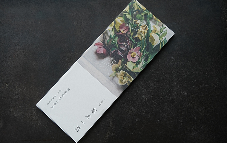 椿野恵里子 一筆箋「草木一葉」｜恵文社一乗寺店 オンラインショップ