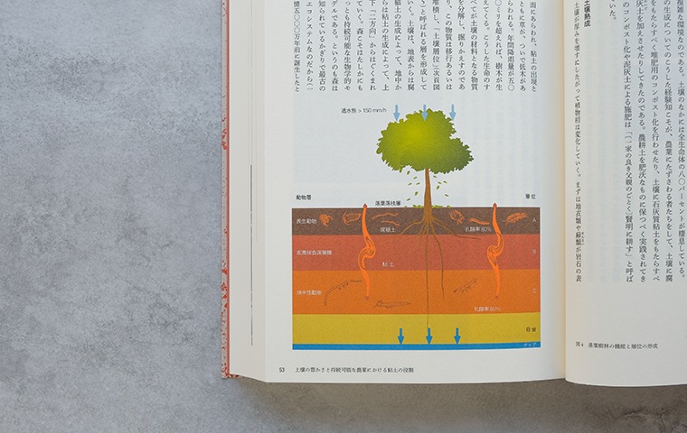 Savoir&Faire 土｜恵文社一乗寺店 オンラインショップ