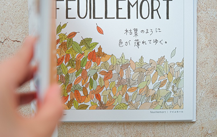 翻訳できない 世界のことば｜恵文社一乗寺店 オンラインショップ
