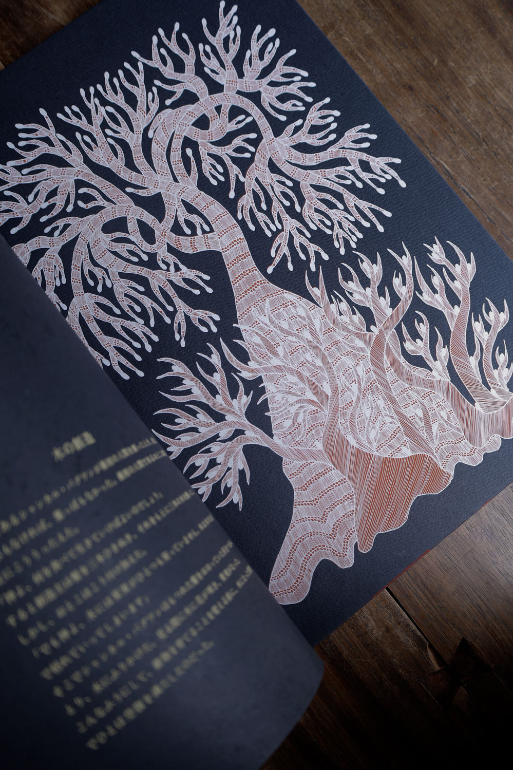 夜の木 第13刷｜恵文社一乗寺店 オンラインショップ