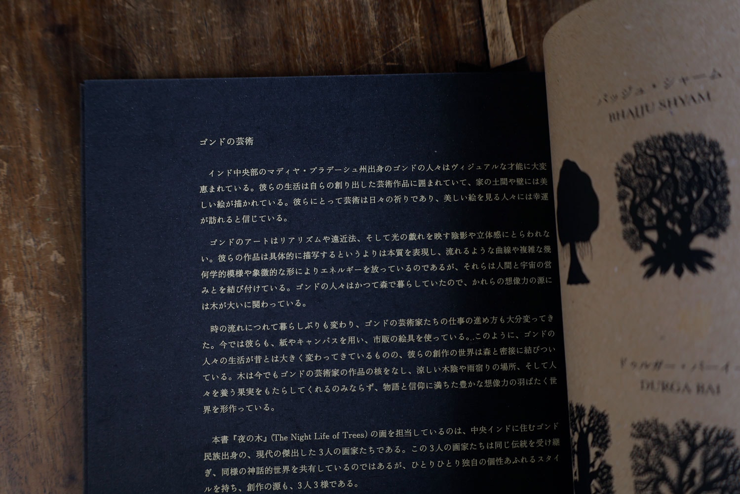 完売】夜の木 第13刷｜恵文社一乗寺店 オンラインショップ