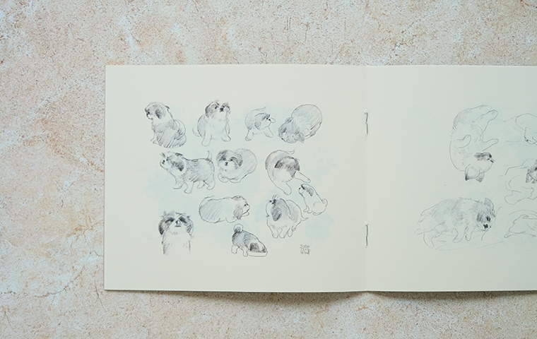 inuinuページ OINU DAYS｜恵文社一乗寺店 オンラインショップ
