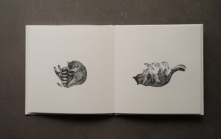 いっぽうそのころ｜恵文社一乗寺店 オンラインショップ