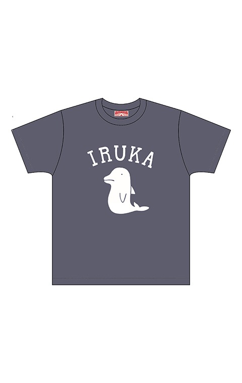 panpanya 昔のIRUKA Tシャツ M panpanya Tシャツ【「昔の」IRUKA】（IRUKA）｜恵文社一乗寺店