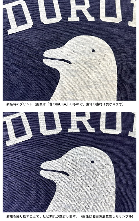 【9月末で出品取下】【未開封新品】panpanya 昔のIRUKA Tシャツ M panpanya Tシャツ【「昔の」IRUKA】（IRUKA）｜恵文社一乗寺店