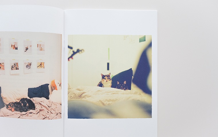 特典つき】猫を飼って、あきらめた。 / THE THINGS MY CATS MADE ME