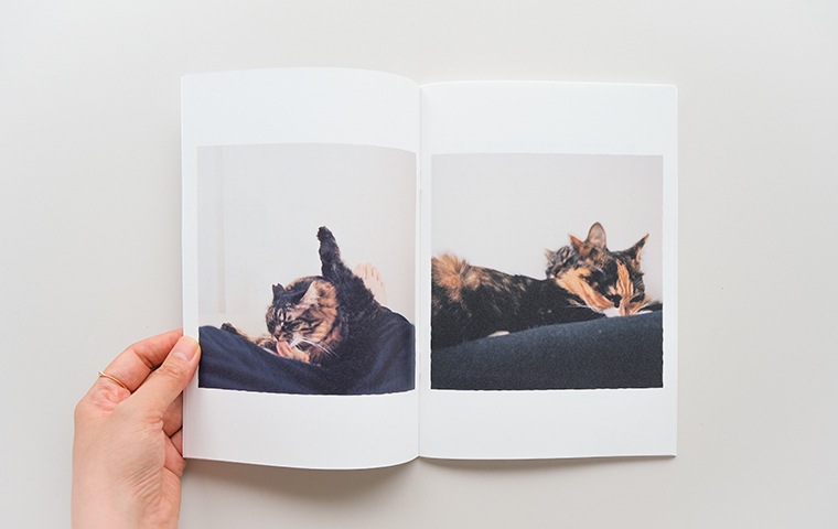 特典つき】猫を飼って、あきらめた。 / THE THINGS MY CATS MADE ME