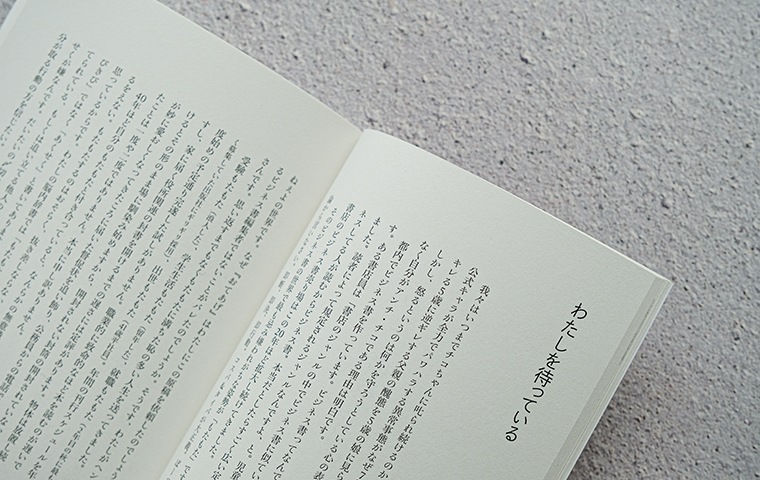 おてあげ 第6号｜恵文社一乗寺店 オンラインショップ