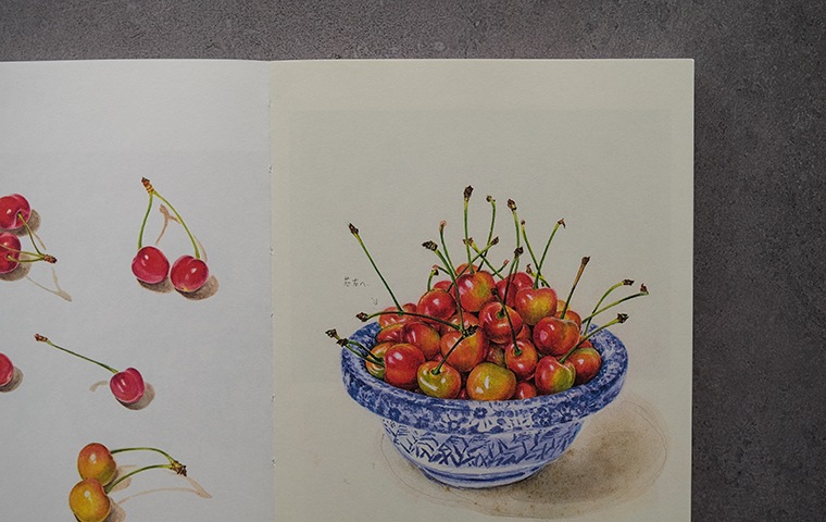 平山英三・平山和子 自然・造形・絵本の世界を歩いた二人の画家｜恵文