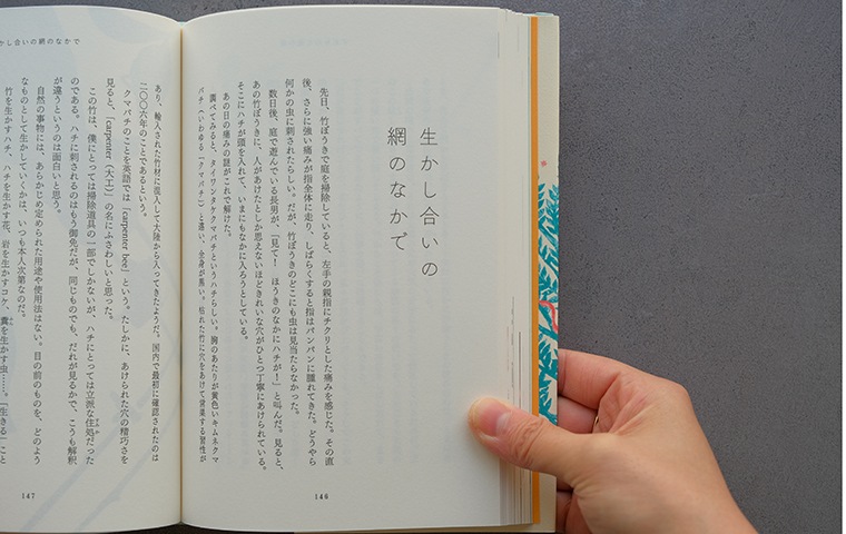 かずをはぐくむ｜恵文社一乗寺店 オンラインショップ