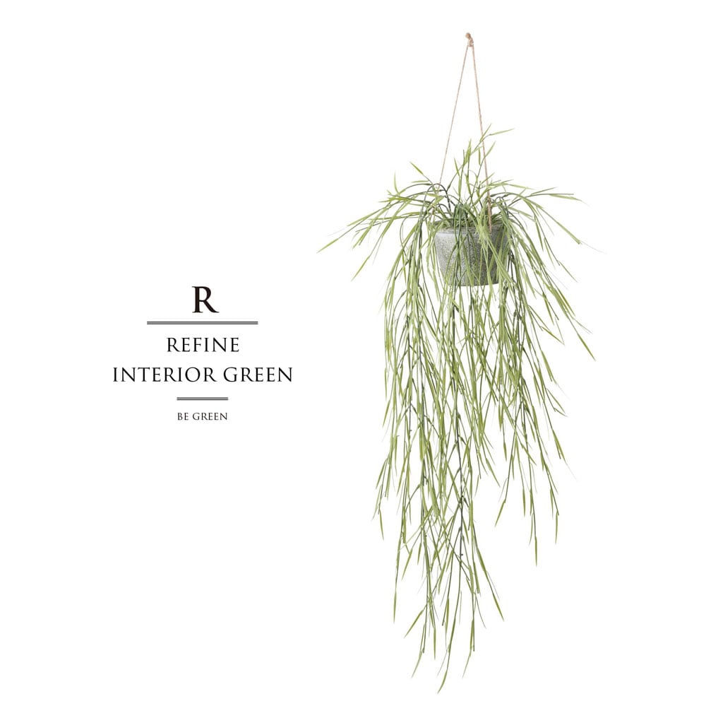 リプサリス フェイクグリーン 77cm