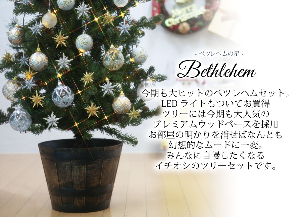⭐︎クリスマス　ベツレヘムの星・オーナメントセット⭐︎ 簡単組立式】フィルムポットツリー ベツレヘムの星 オーナメント
