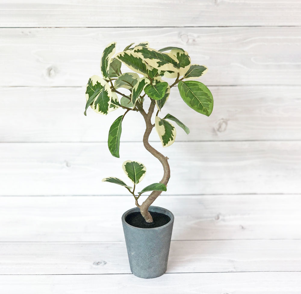 フィカスアルテシマ フェイクグリーン 44cm コンパクト おしゃれ｜恵月