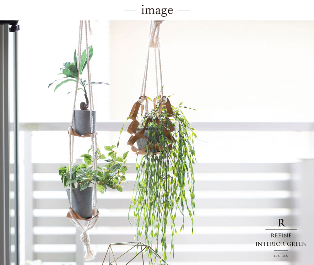 プミラ フェイクグリーン 24cm コンパクト おしゃれ｜恵月人形本舗