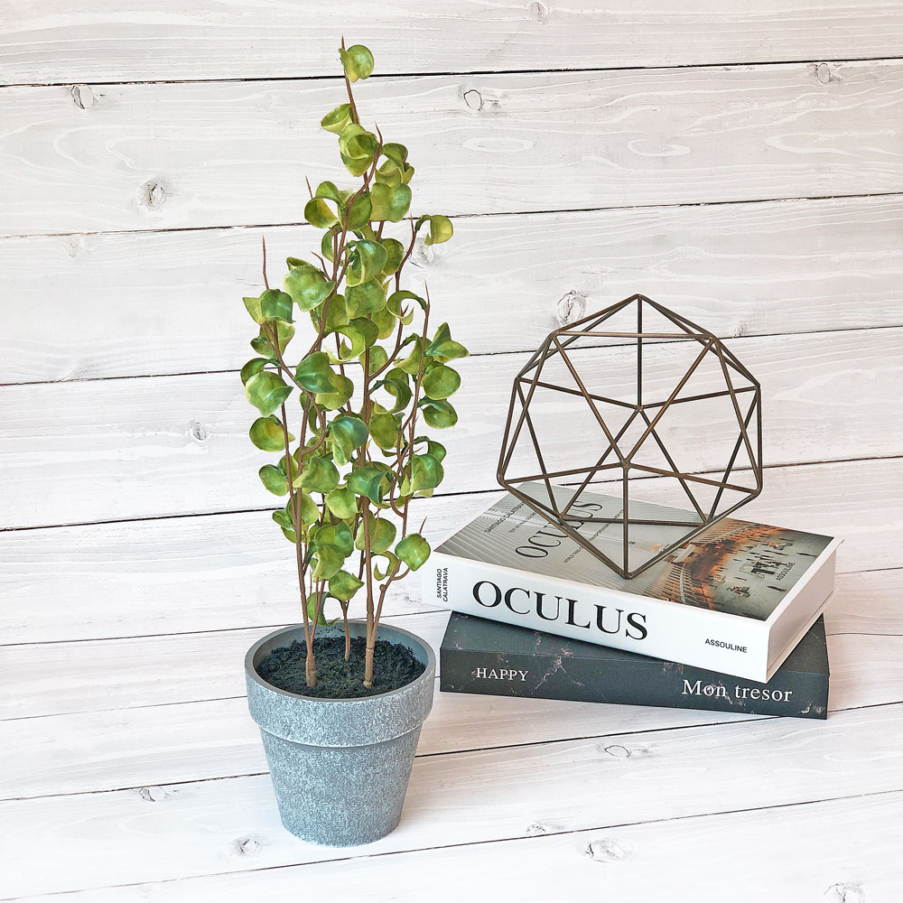 モルタル造形 石造りオーナメント フェイクグリーン付き フィカスシタシオン フェイクグリーン 37cm コンパクト おしゃれ