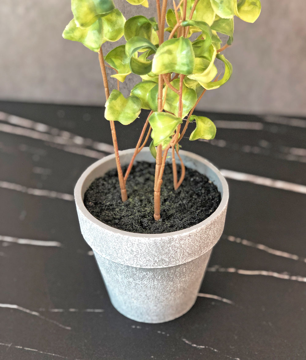 フィカスシタシオン フェイクグリーン 37cm コンパクト おしゃれ