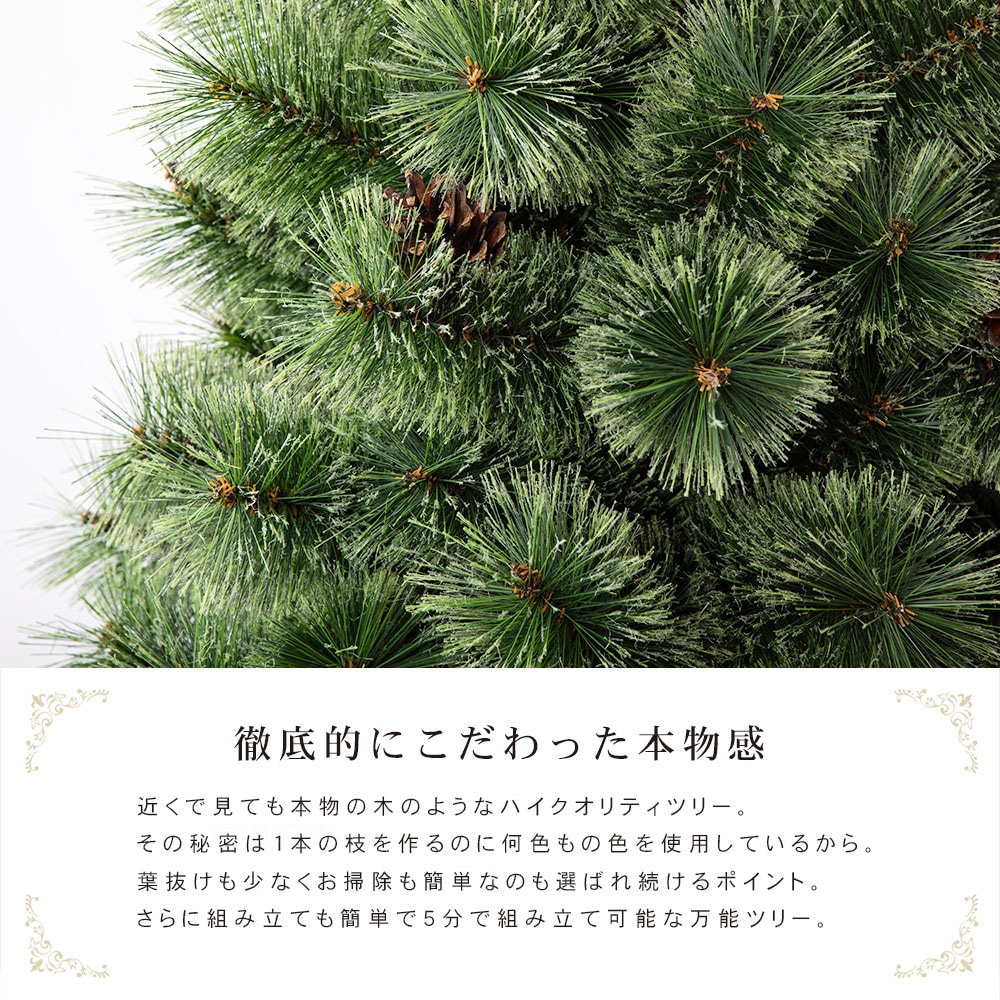 CLAREX SPRUCE(クラレックス スプルース) ポーランド製 高級 ツリー