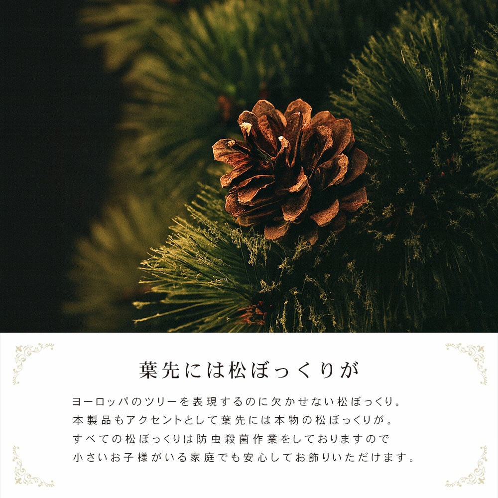 CLAREX SPRUCE(クラレックス スプルース) ポーランド製 高級 ツリー単品 120cm 150cm 180cm 220cm 分割式