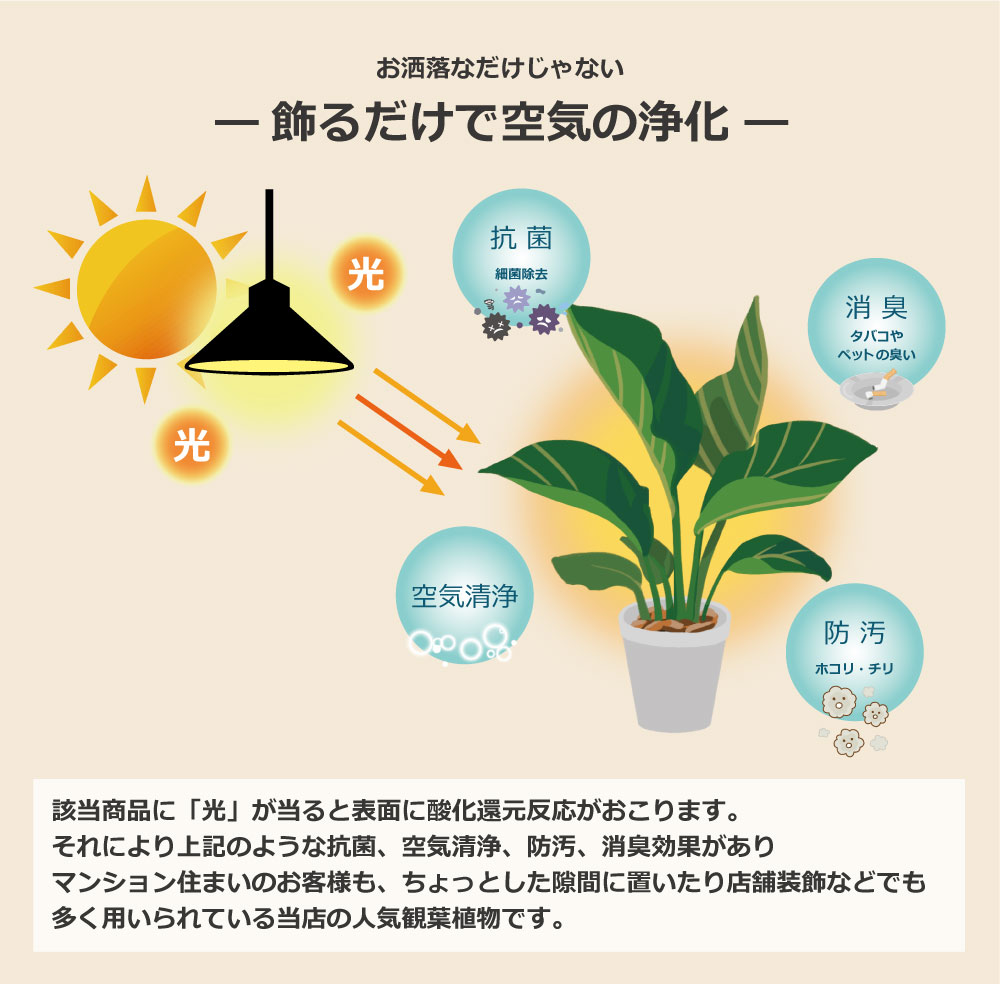 イミテーショングリーン フェイクグリーン｜恵月人形本舗