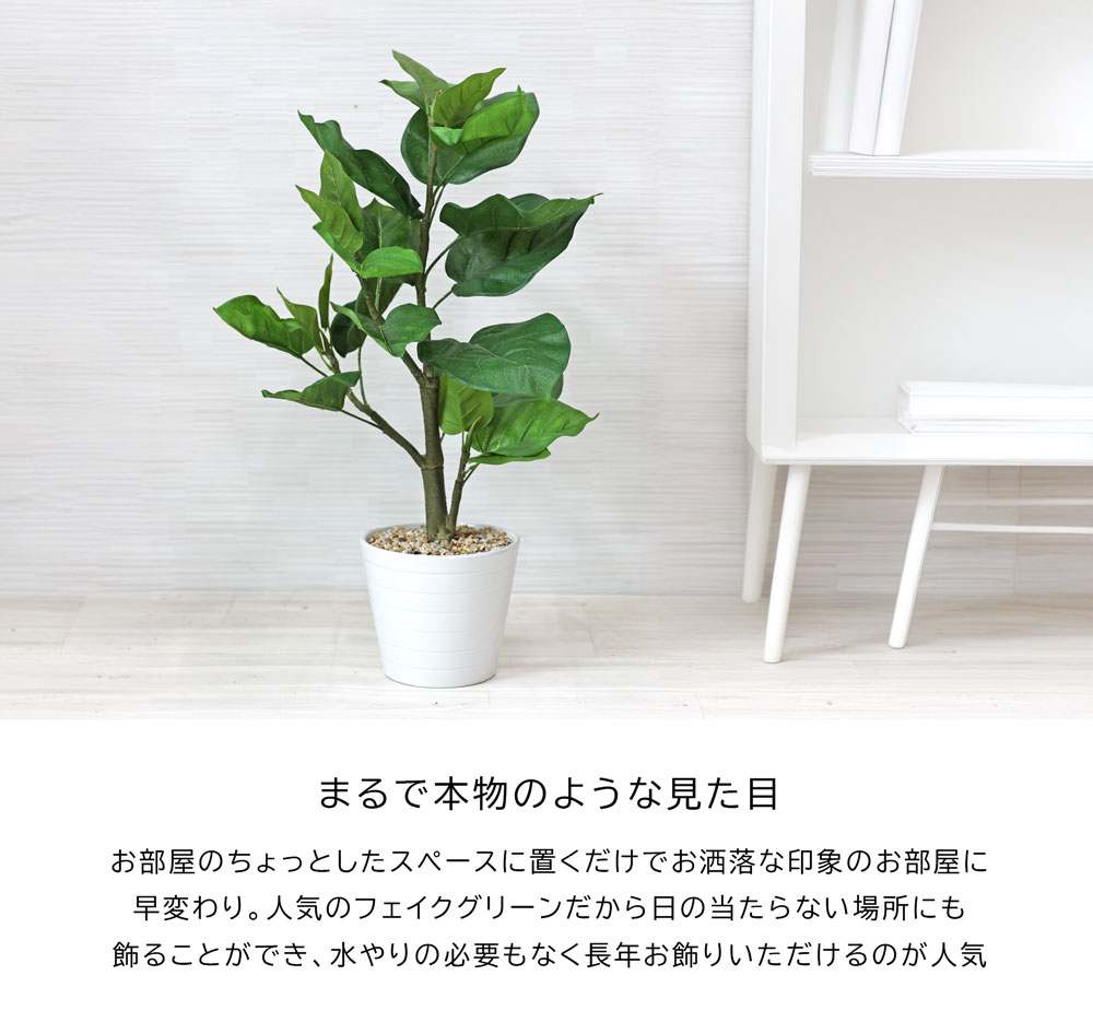 ウンベラー 58cm コンパクト おしゃれ｜恵月人形本舗