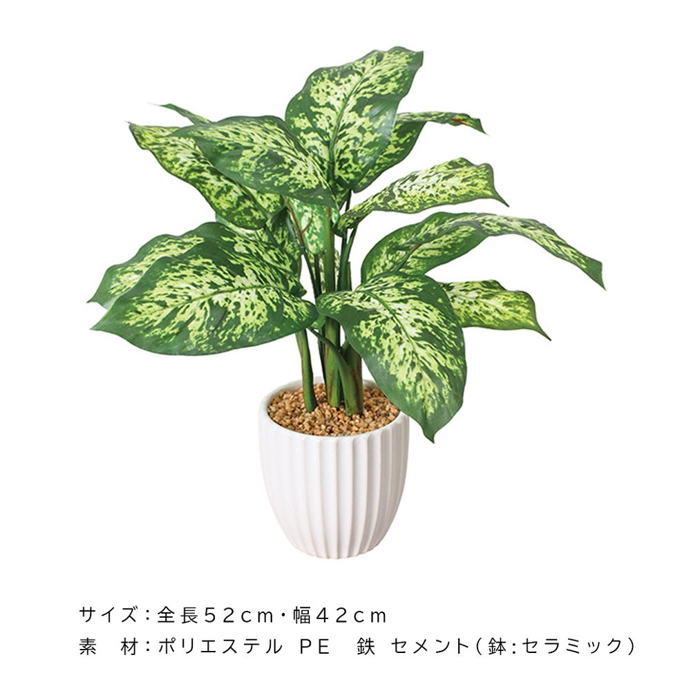 デフェンバキア 52cm コンパクト おしゃれ｜恵月人形本舗