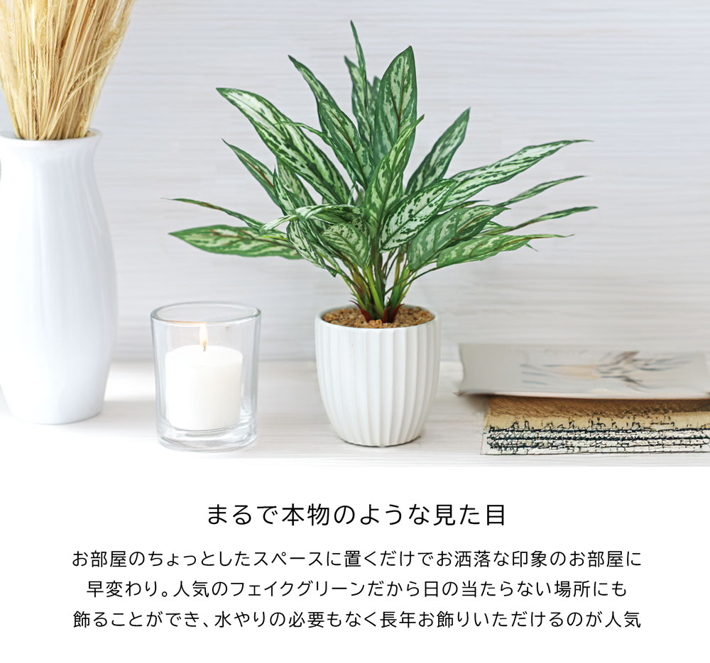 アグラオネマ 45cm コンパクト おしゃれ｜恵月人形本舗