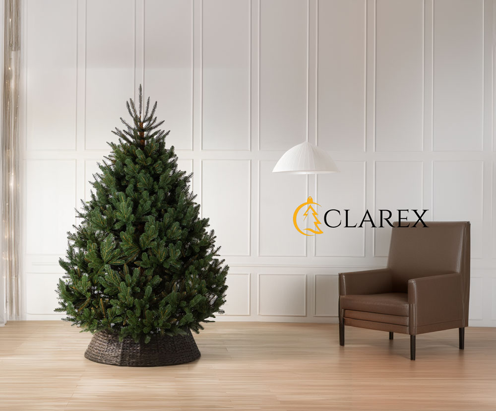 クリスマスツリー 180cm 簡単組立式】CLAREX SOSNA (クラレックス ソスナ) ポーランド製