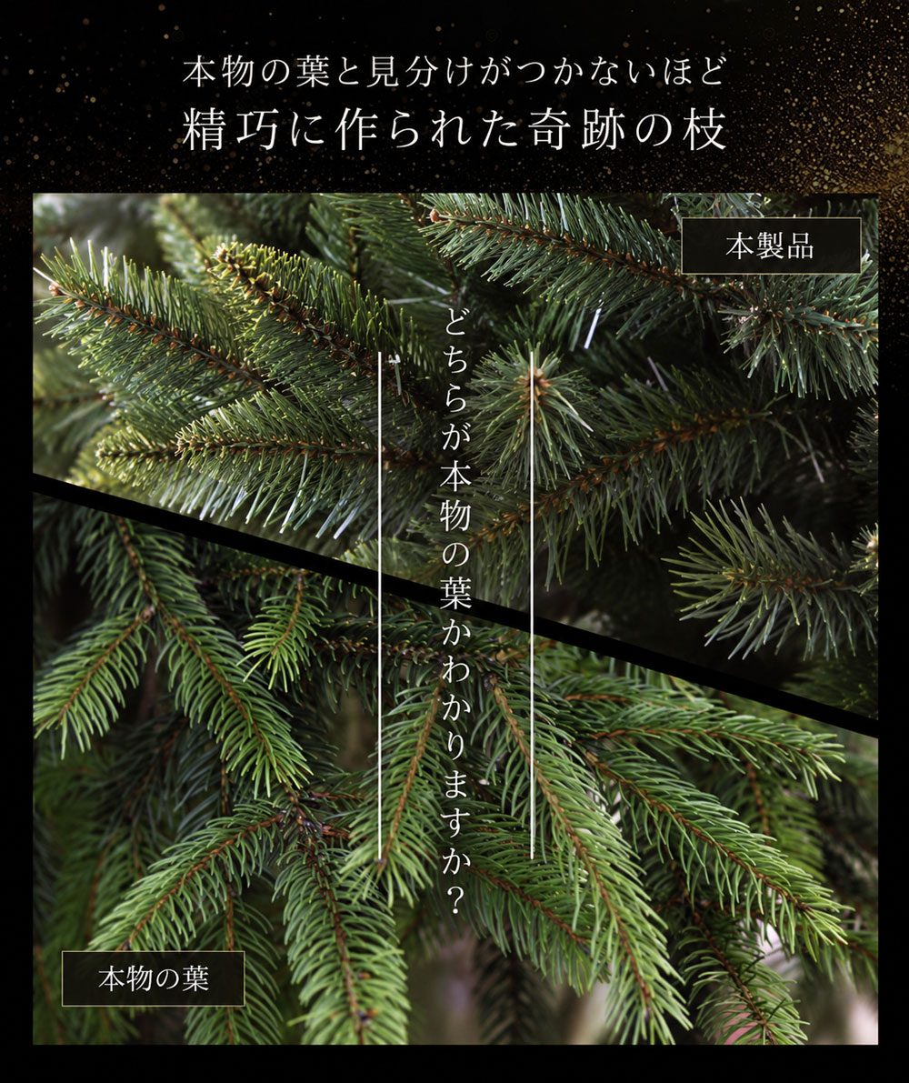 CLAREX CHOINKA（クラレックス ホインカ）120～250cm ポーランド製